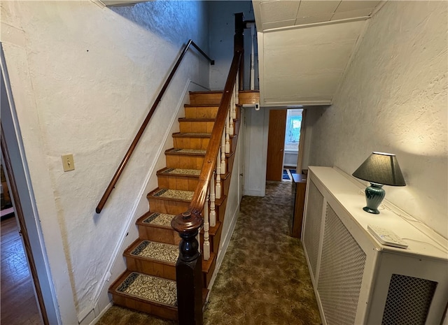 staircase with carpet flooring