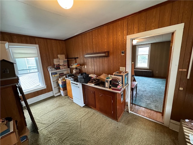 kitchen featuring wood walls, crown molding, radiator heating unit, and carpet floors