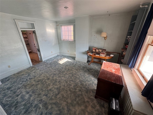 interior space featuring carpet and baseboards