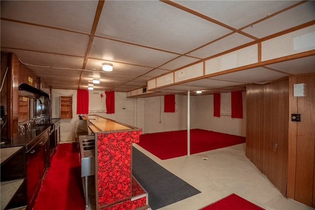 basement with wood walls