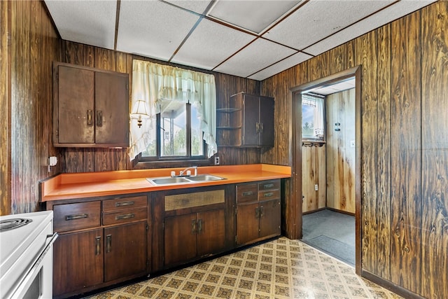 kitchen featuring wood walls, dark brown cabinetry, and sink