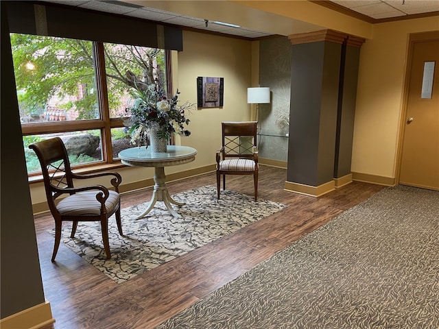 living area featuring crown molding, dark wood-type flooring, and a wealth of natural light