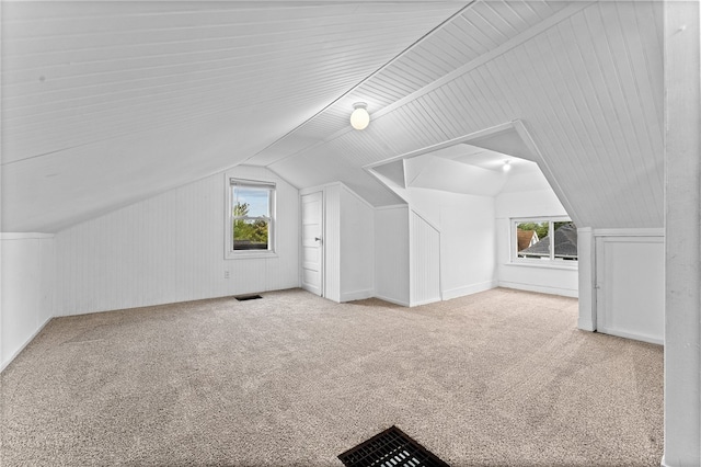 additional living space featuring light carpet, vaulted ceiling, and a wealth of natural light