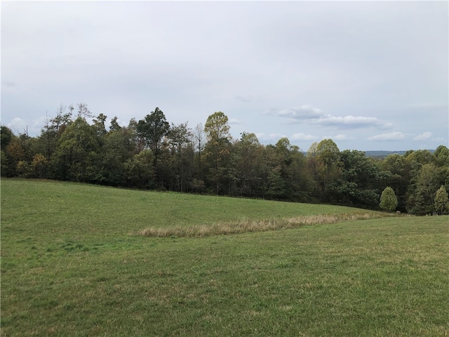 view of local wilderness