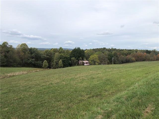 view of yard with a rural view