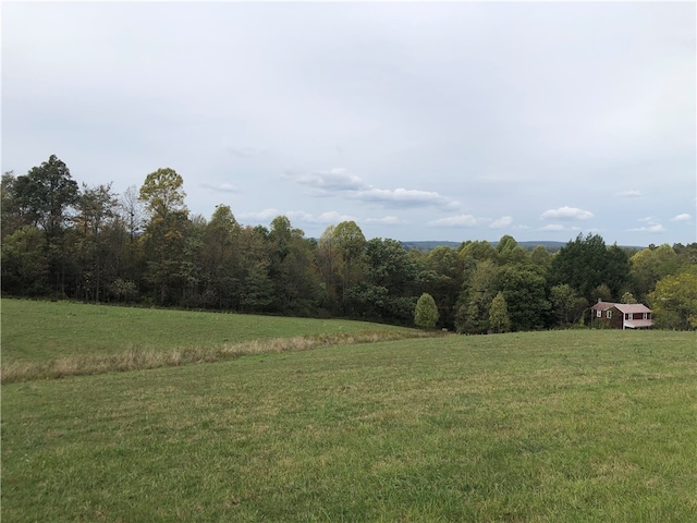 view of yard with a rural view