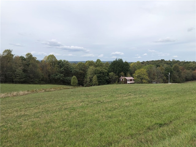 view of yard with a rural view