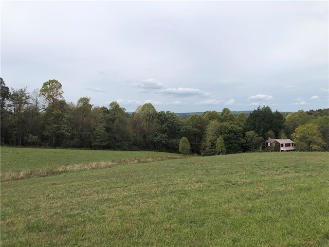 view of local wilderness with a rural view