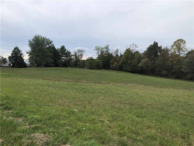 view of yard featuring a rural view