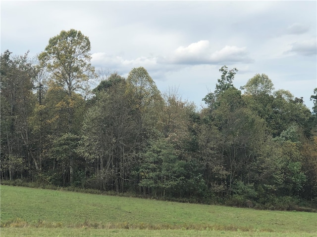 view of local wilderness