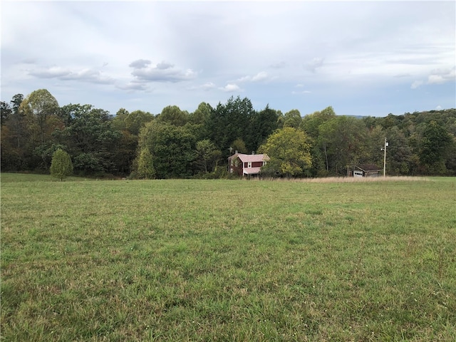 view of yard with a rural view