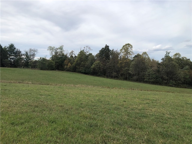 view of yard featuring a rural view