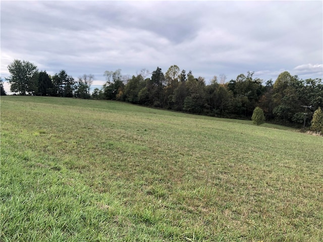 view of yard with a rural view