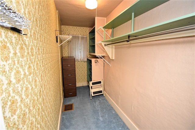 spacious closet with dark carpet