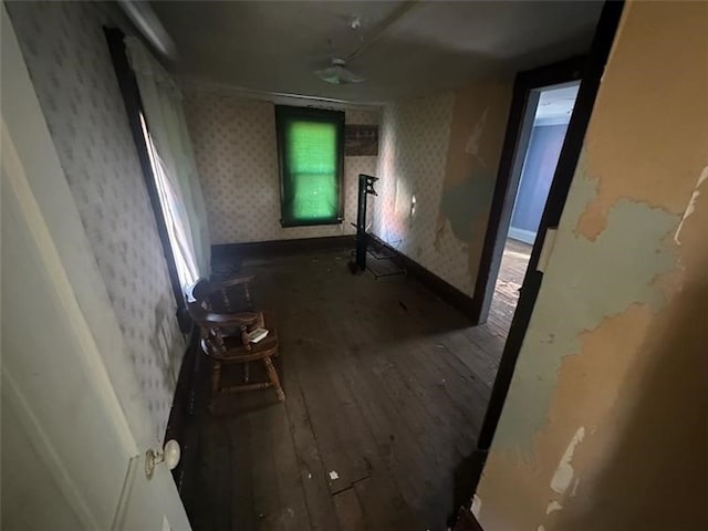 hallway with hardwood / wood-style floors