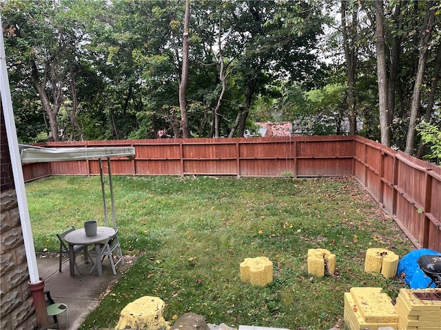 view of yard featuring a patio