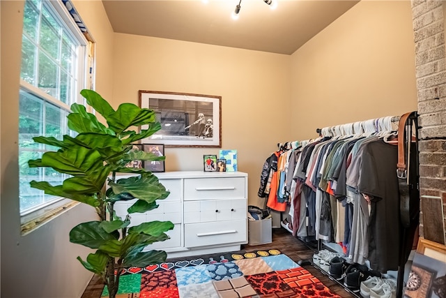 spacious closet featuring dark hardwood / wood-style flooring