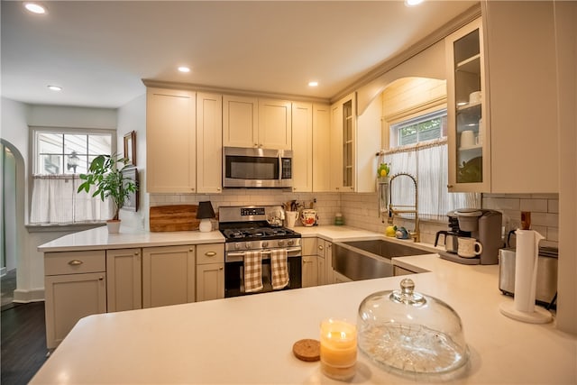 kitchen with appliances with stainless steel finishes, dark wood-type flooring, sink, and a healthy amount of sunlight