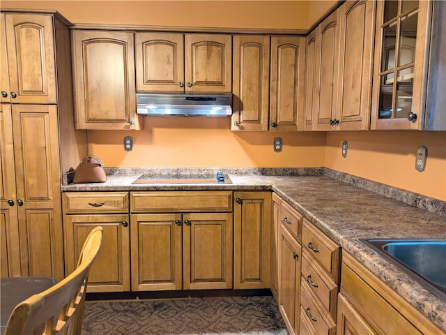 kitchen with black electric stovetop