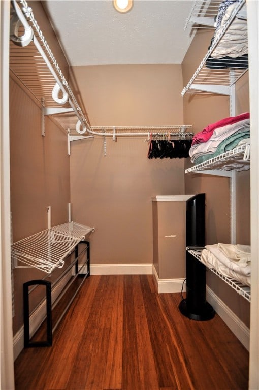 walk in closet featuring hardwood / wood-style flooring