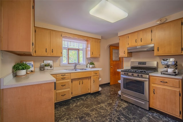 kitchen featuring sink and stainless steel range with gas stovetop