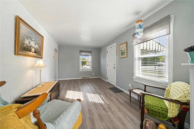 foyer entrance featuring hardwood / wood-style flooring and plenty of natural light