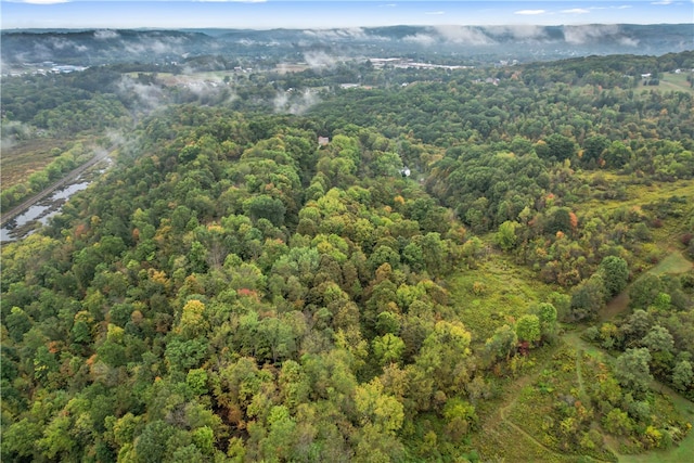 drone / aerial view