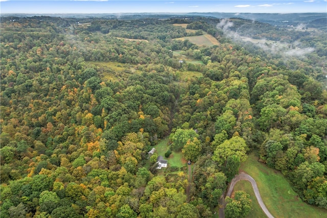 bird's eye view