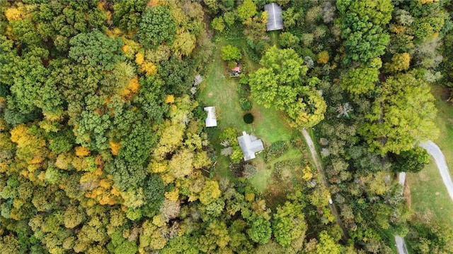 bird's eye view