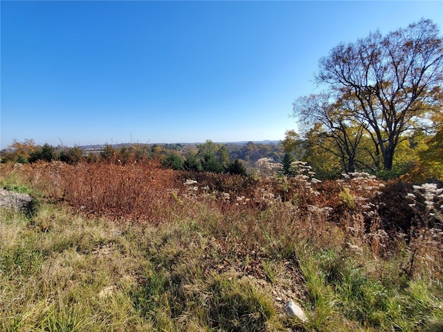 view of local wilderness