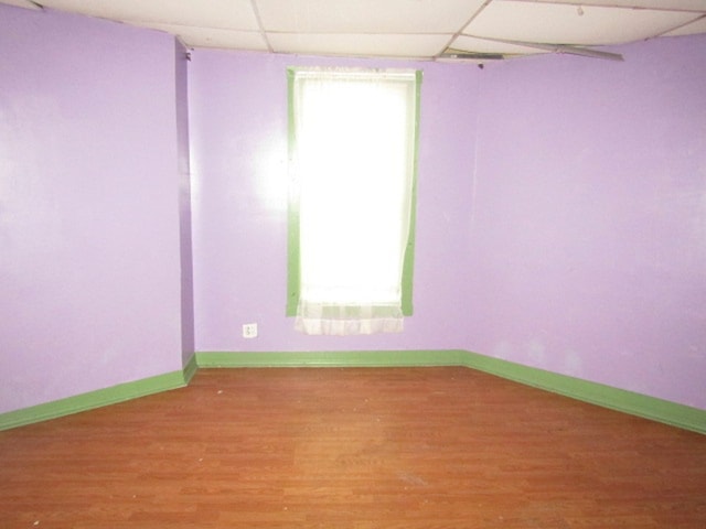 spare room with a drop ceiling and hardwood / wood-style flooring