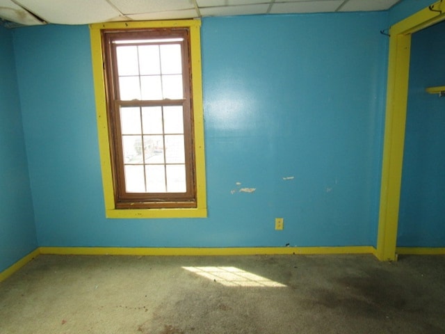 spare room with a paneled ceiling and carpet