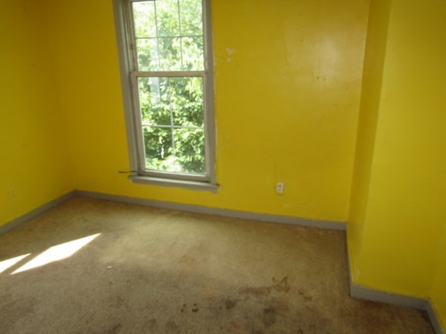 spare room featuring carpet floors and a healthy amount of sunlight