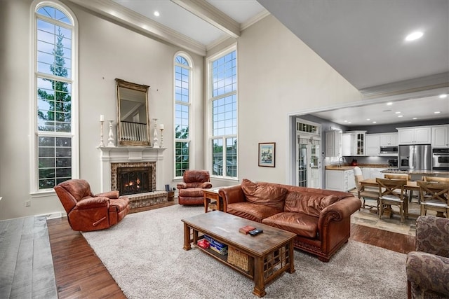 living room with a fireplace, plenty of natural light, dark wood-type flooring, and a high ceiling