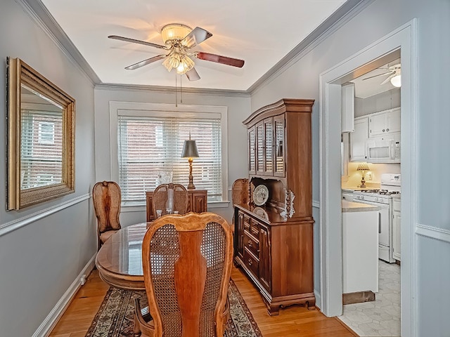 dining room with ornamental molding, light wood-type flooring, and ceiling fan