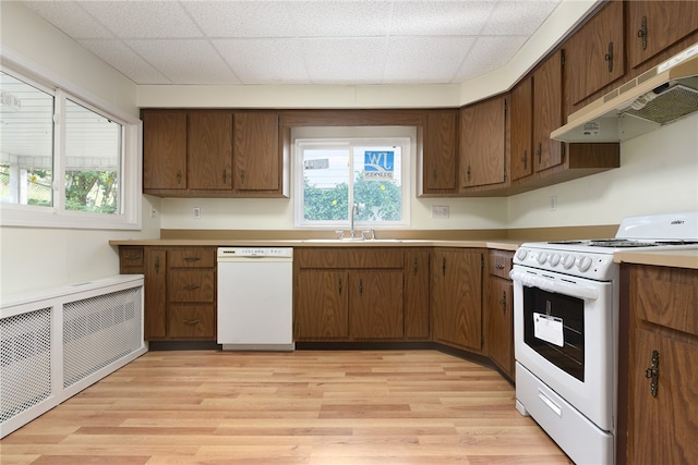 kitchen with a paneled ceiling, white appliances, sink, and light hardwood / wood-style flooring