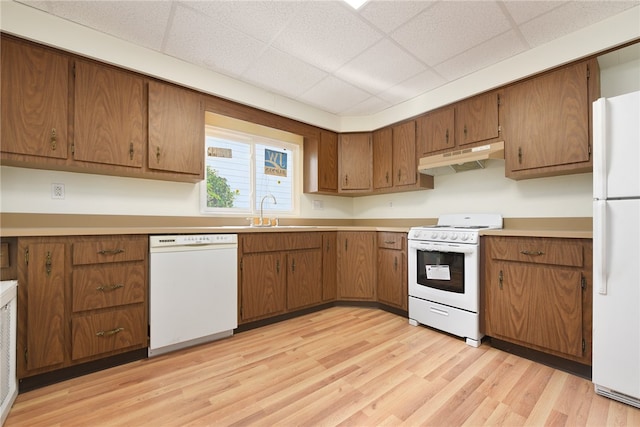 kitchen featuring sink, a drop ceiling, light hardwood / wood-style floors, and white appliances