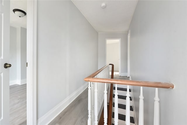 hallway with wood-type flooring