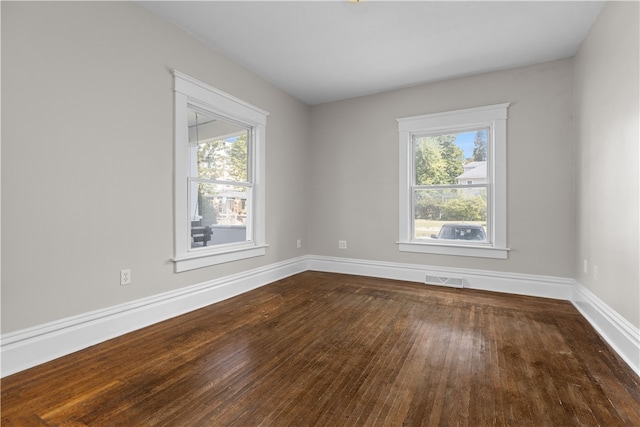 unfurnished room featuring a healthy amount of sunlight and wood-type flooring