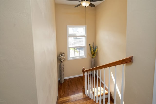 stairs with ceiling fan and hardwood / wood-style flooring