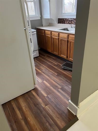 kitchen featuring dark hardwood / wood-style floors, sink, and white appliances