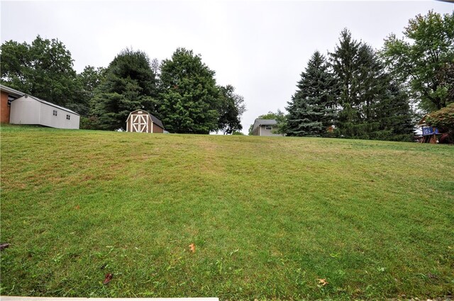 view of yard with a storage shed