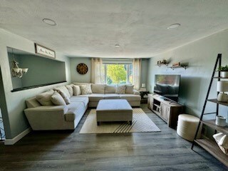 living room featuring wood-type flooring