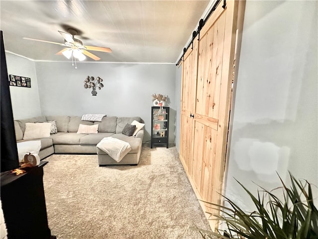 carpeted living room featuring ceiling fan and a barn door