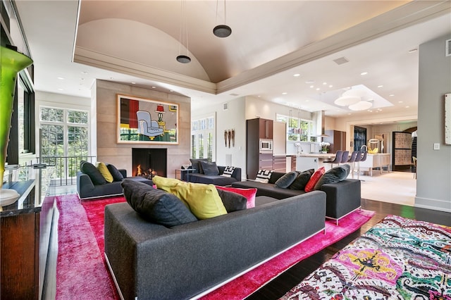 living room with hardwood / wood-style flooring and a tray ceiling