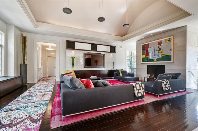 living room with hardwood / wood-style flooring, a raised ceiling, and lofted ceiling