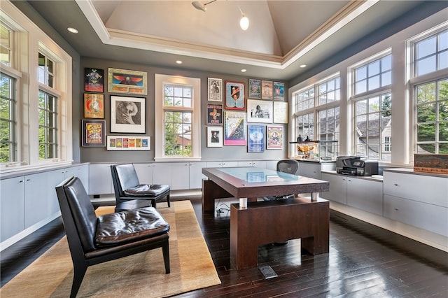 home office featuring high vaulted ceiling, a raised ceiling, and dark hardwood / wood-style flooring