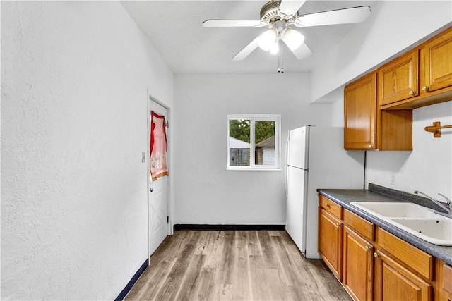 kitchen with light hardwood / wood-style floors, sink, ceiling fan, and white refrigerator