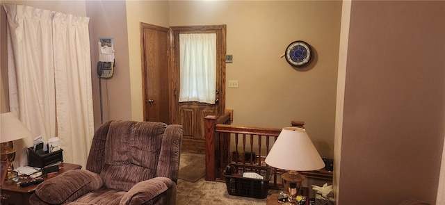 living area featuring light colored carpet