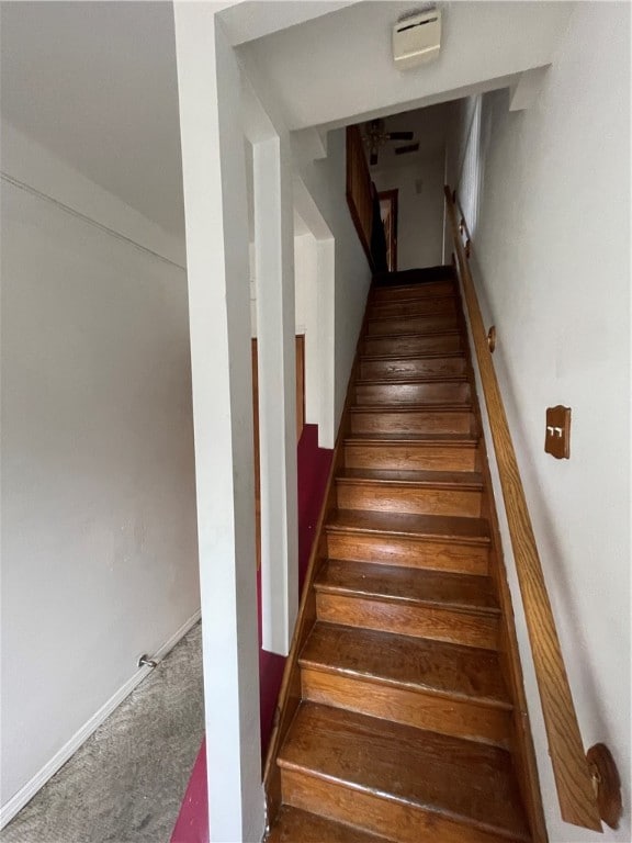 stairs featuring carpet floors